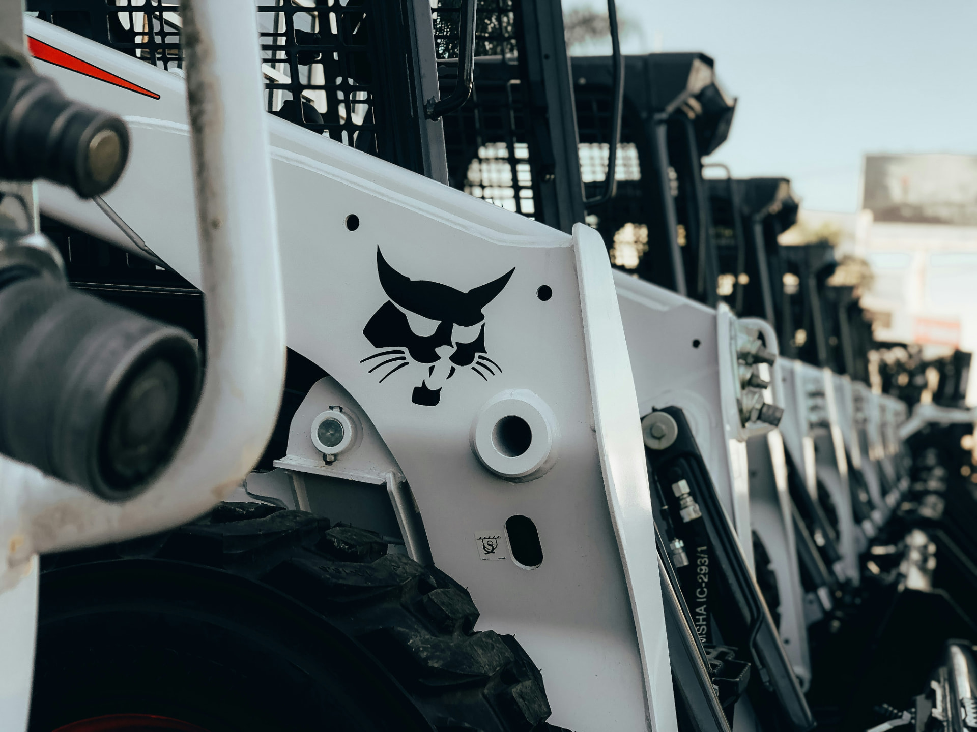 Row of white Bobcat skid-steer loaders lined up at a dealership