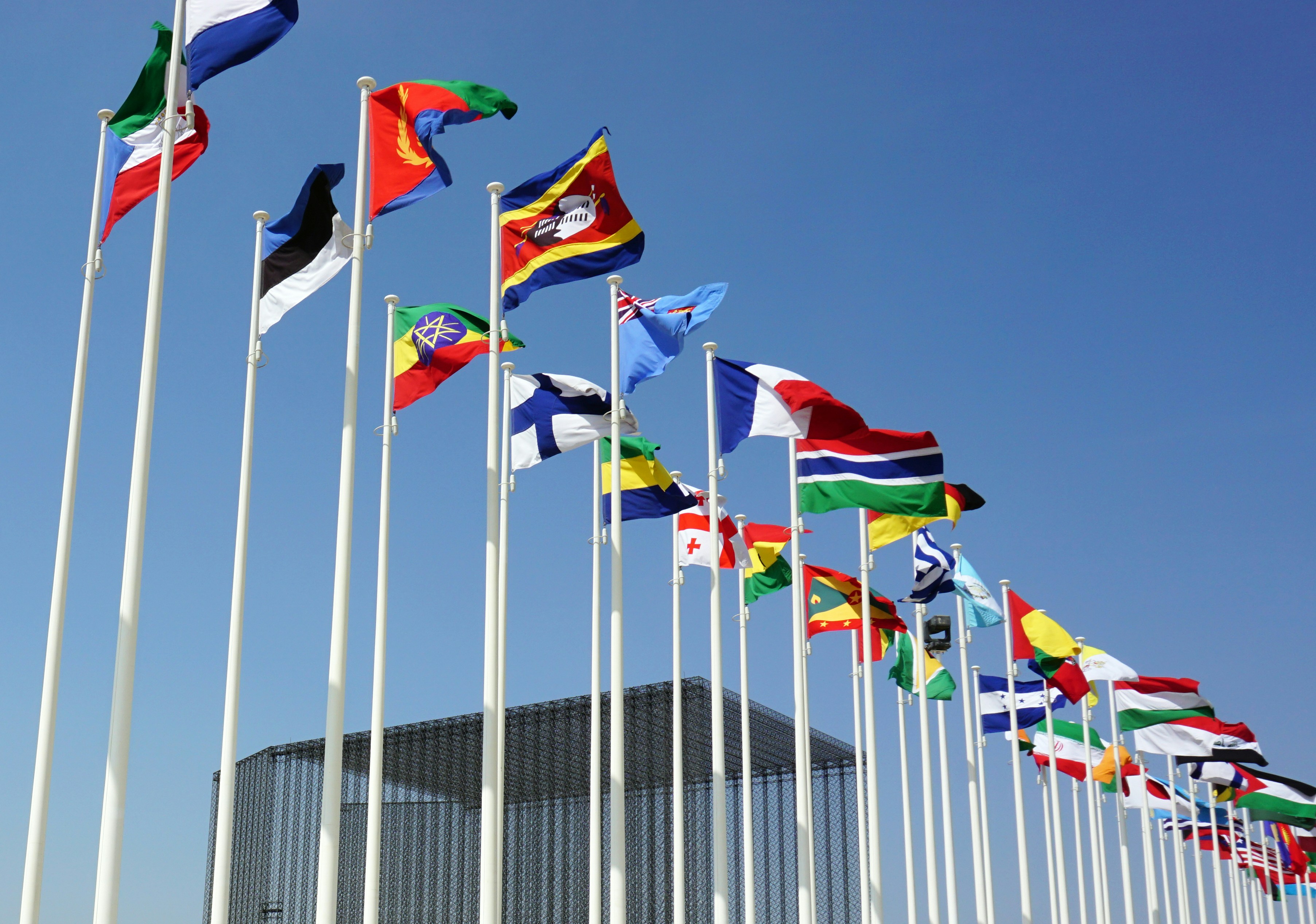 Carnegie Endowment for International Peace case study